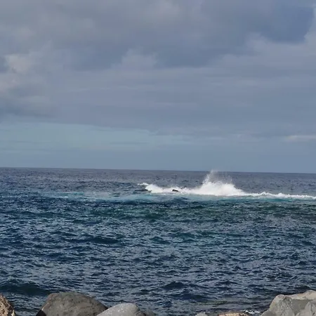 公寓 Luar Del Carmen *