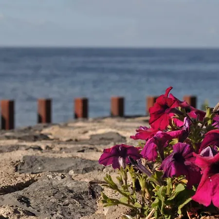 Luar Del Carmen 公寓 *