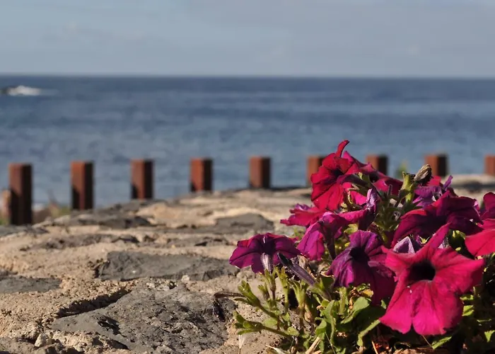 Luar Del Carmen Apartament *